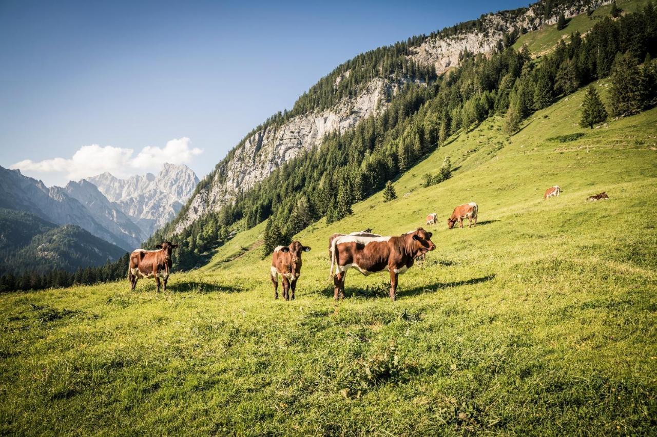 Ferienwohnung Im Gaestehaus Sieger-Brandner Ramsau bei Berchtesgaden Exteriör bild